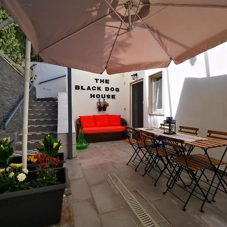 The Black Dog House Valenzano Esterno foto
